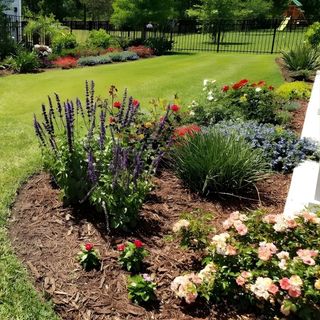 a garden bed